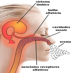 Aromaterapia